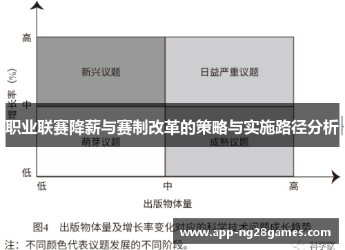 职业联赛降薪与赛制改革的策略与实施路径分析