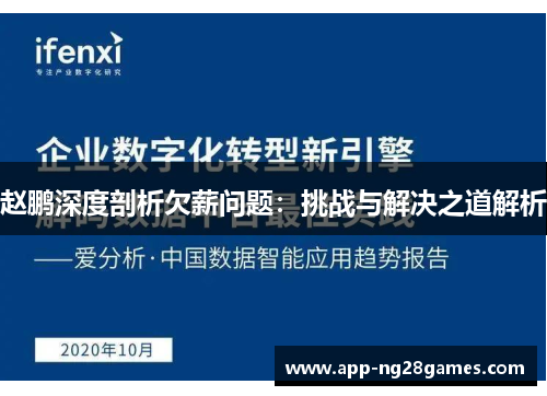 赵鹏深度剖析欠薪问题：挑战与解决之道解析