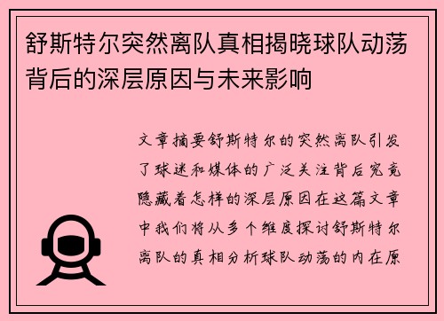 舒斯特尔突然离队真相揭晓球队动荡背后的深层原因与未来影响